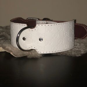 Gucci dog collar